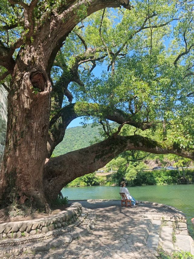 婺源旅行攻略出發前必睇～