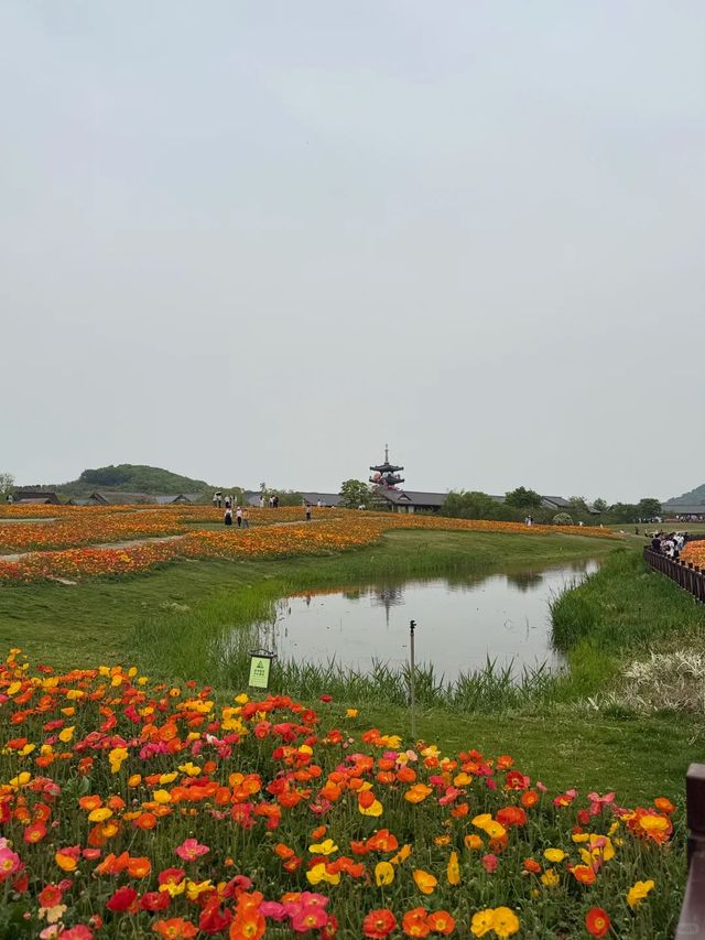 5天暢遊南京等地 超詳細攻略來襲