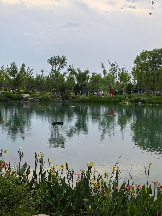 【今日新開！免費入場】濟南白泉濕地公園