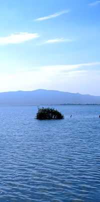 滇池畔嘅美景