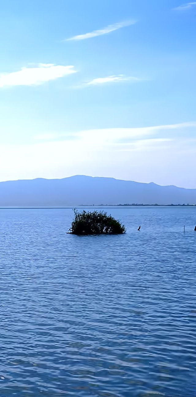 滇池畔嘅美景