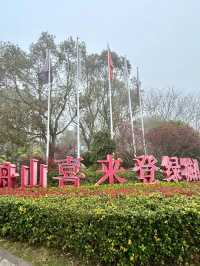 《舟山綠城喜來登：入住佛國海岸的奢華結界》