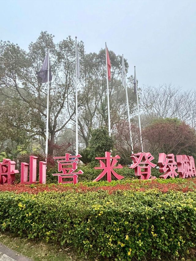 《舟山綠城喜來登：入住佛國海岸的奢華結界》
