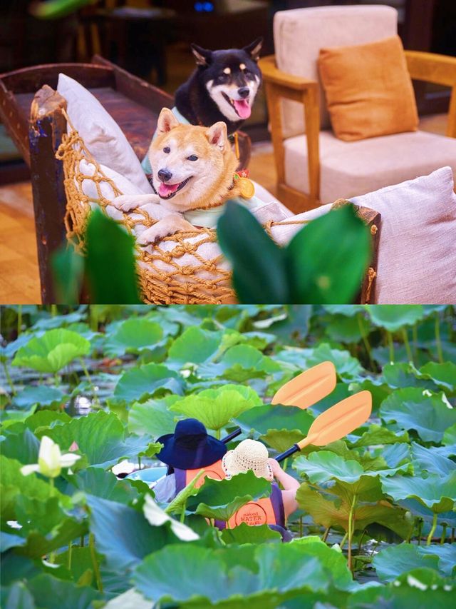 上海周邊裸心泊，性價比擔當嘅湖光盛境！