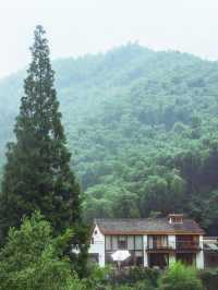 莫干山綠野仙蹤民宿