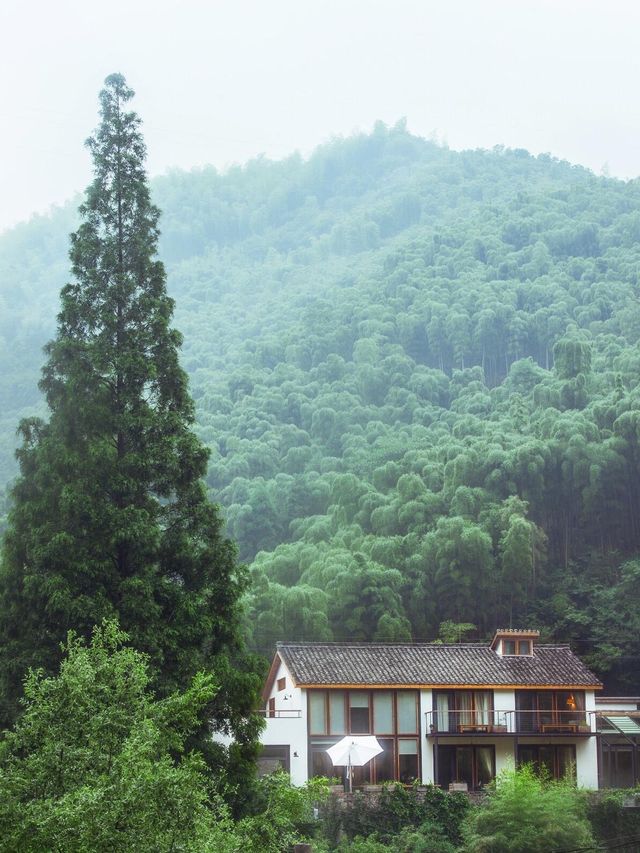 莫干山綠野仙蹤民宿