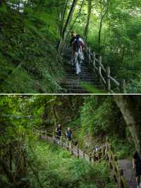 重慶金佛山 打卡18℃的夏天