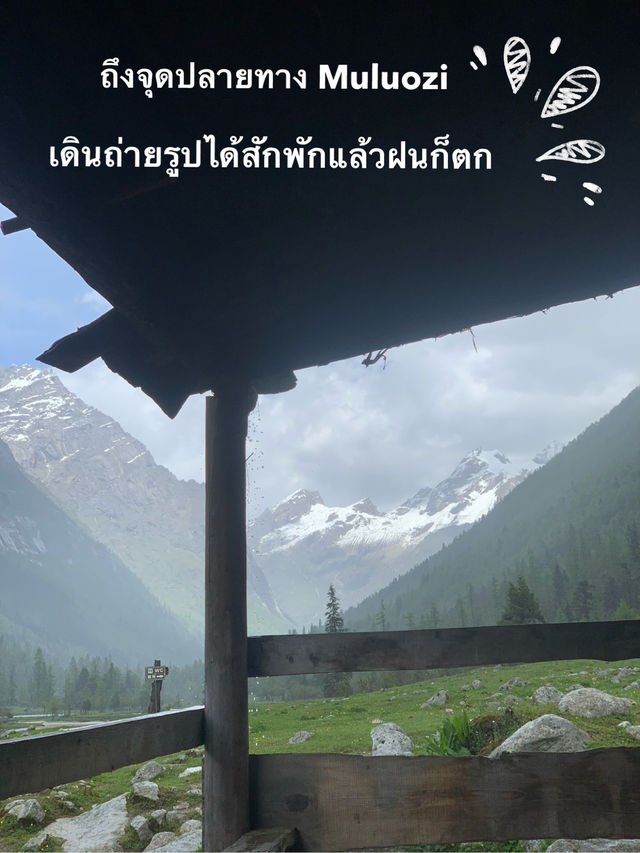 Siguniangshan - changpinggou In June