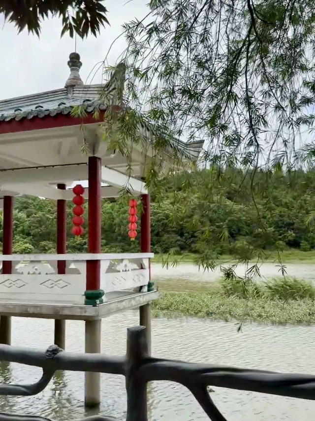鯉躍清影──仙游九鯉湖