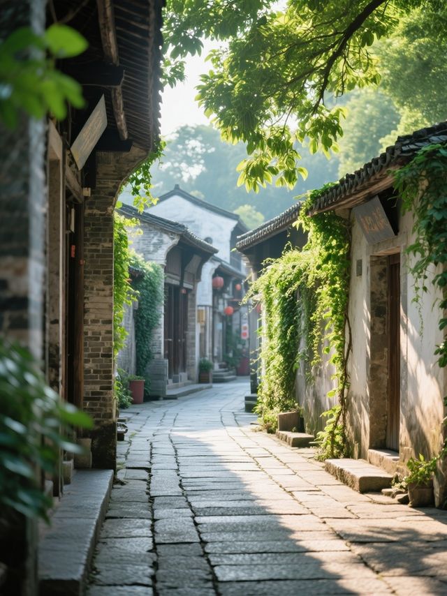 人均800玩轉深圳！3天2夜玩透不踩雷