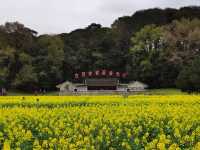 永放光芒的紅色聖地——古田