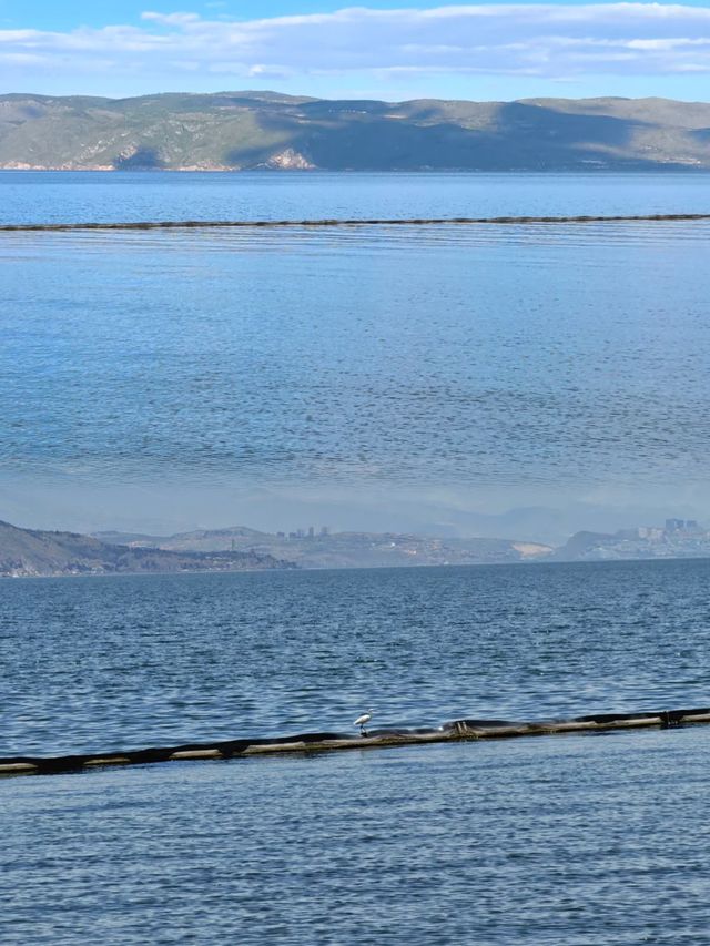 文藝洱海環湖指南