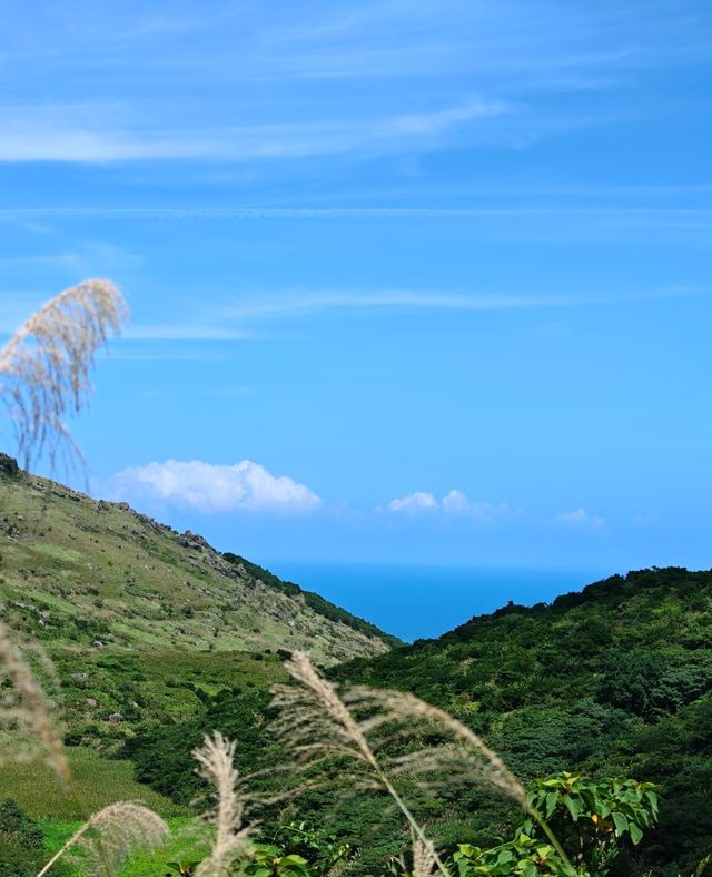 霞浦灘塗絕美日出