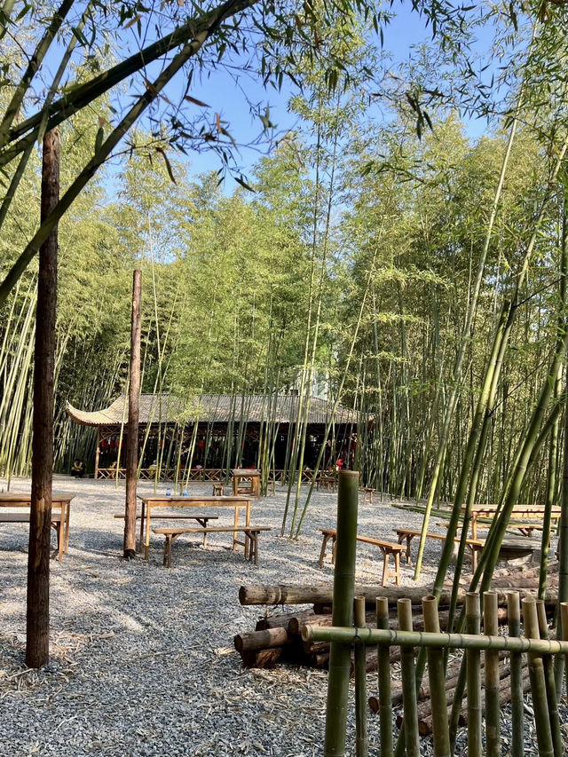 竹海呢喃:西安鯨魚溝的翠綠秘境 竹海呢喃:西安鯨魚溝的翠綠秘境