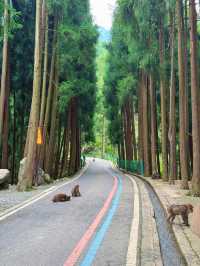 成都周邊staycation｜唔捨得公開嘅親子秘境