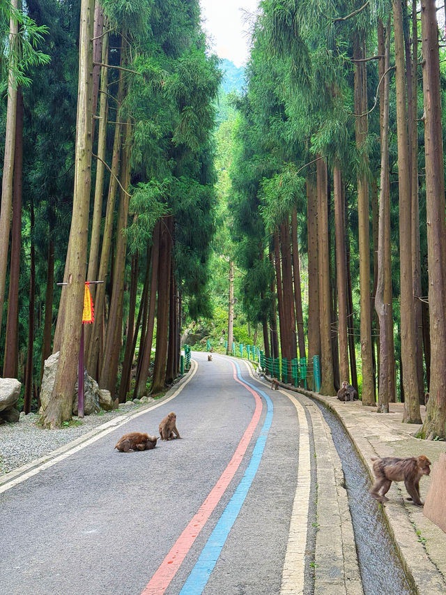 成都周邊staycation｜唔捨得公開嘅親子秘境