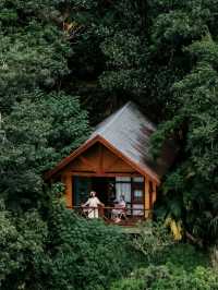 就在廣東信宜住進森林樹屋，天然氧吧！