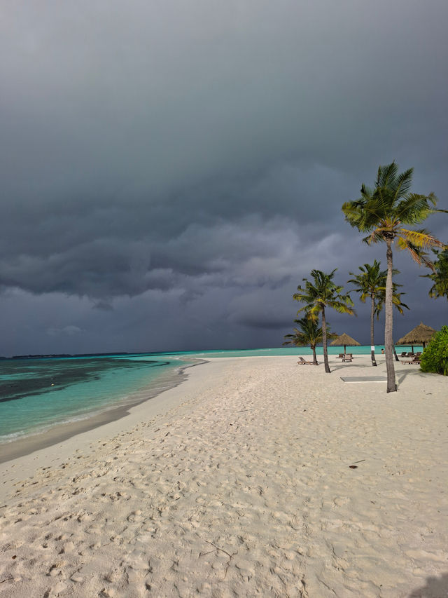 Kuredu: A Paradise Experience Kuredu: A Paradise Experience