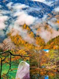 光霧山賞秋指南美到窒息的紅葉天花板在此！