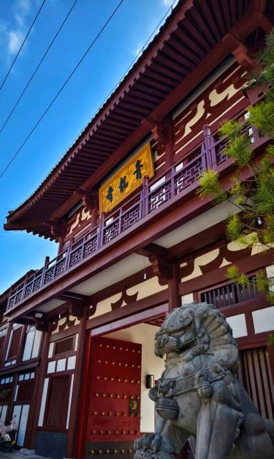 最新】青竜寺 - チケット、営業時間、口コミ、写真 [2025年