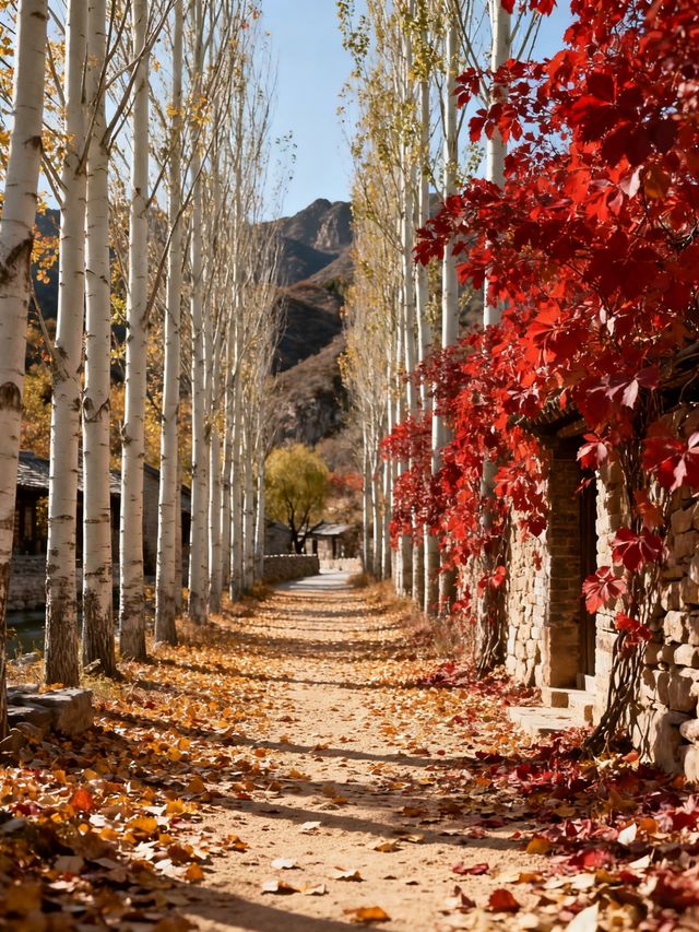 秋日旅行天花板！6大私藏目的地，避開人潮拍爆朋友圈！！