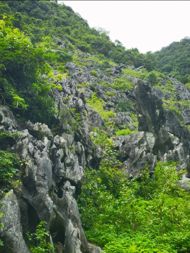 中越邊境絕美秘境！野生瀑布群三疊泉太震撼了