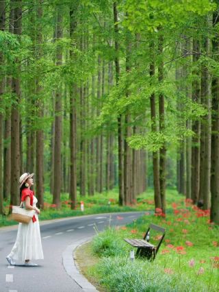 Who gets it?! Yancheng hides a "Wizard of Oz" green wonderland 🌳 where you can take forest-themed blockbusters until your hands ache!
