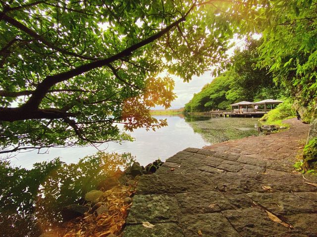 宜蘭牛奶湖與龜山島一日遊：白霧夢境中的藍色奇蹟