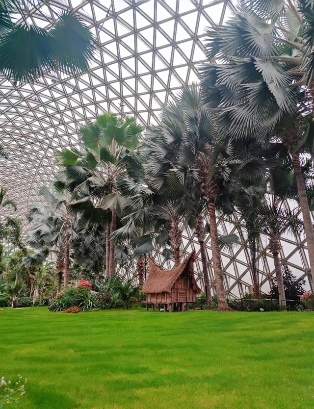 超全攻略！上海辰山植物園打卡指南