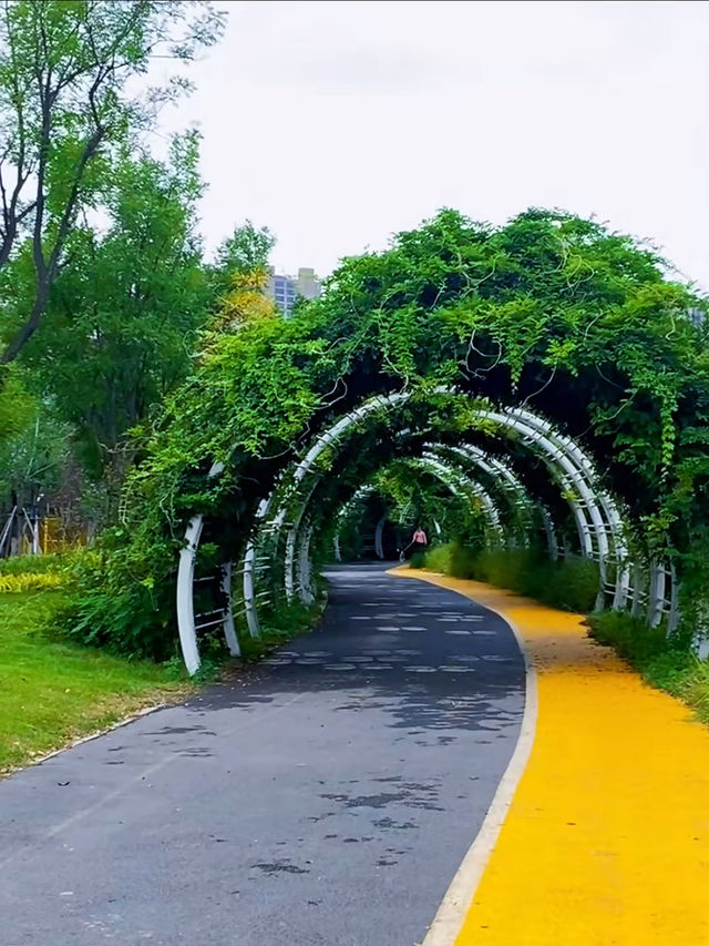 秋日漫步唐冶山公園