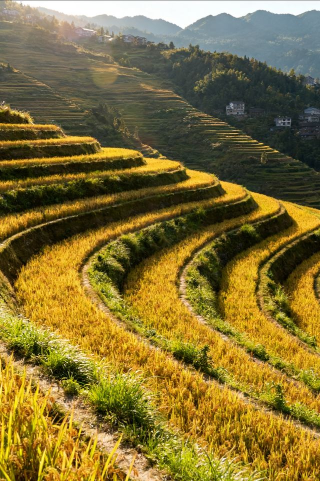 川北秘境南江,邂逅紅葉與千年古道的奇幻之旅!  山水不全看,不算到四川,這片被《中國國家地理》評為“ 川北秘境南江,邂逅紅葉與千年古道的奇幻之旅!  山水不全看,不算到四川,這片被《中國國家地理》評為“