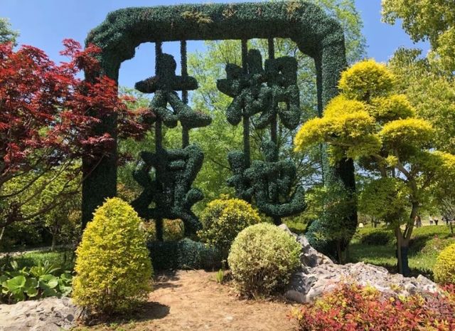 蘇州太湖濕地公園遛娃指南人少景美還出片! 蘇州太湖濕地公園遛娃指南人少景美還出片!