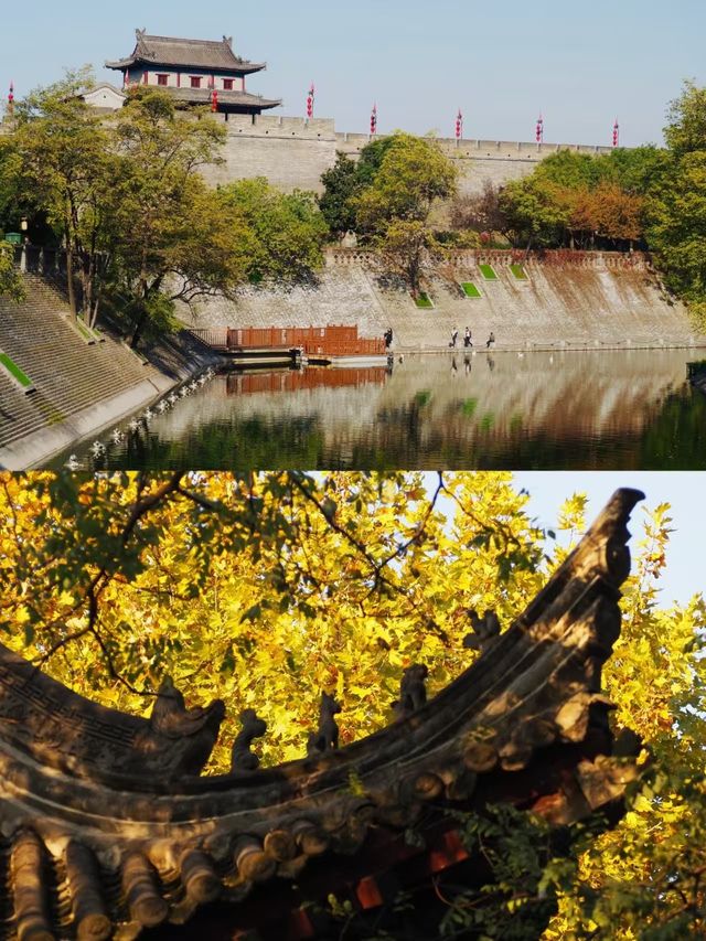 西安城牆邊的秋日秘境!這個公園拍漢服美到窒息 西安城牆邊的秋日秘境!這個公園拍漢服美到窒息