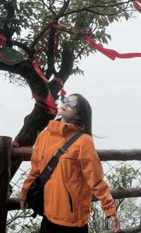 莽山住到不想走的雲隱智能民宿+電梯太香了