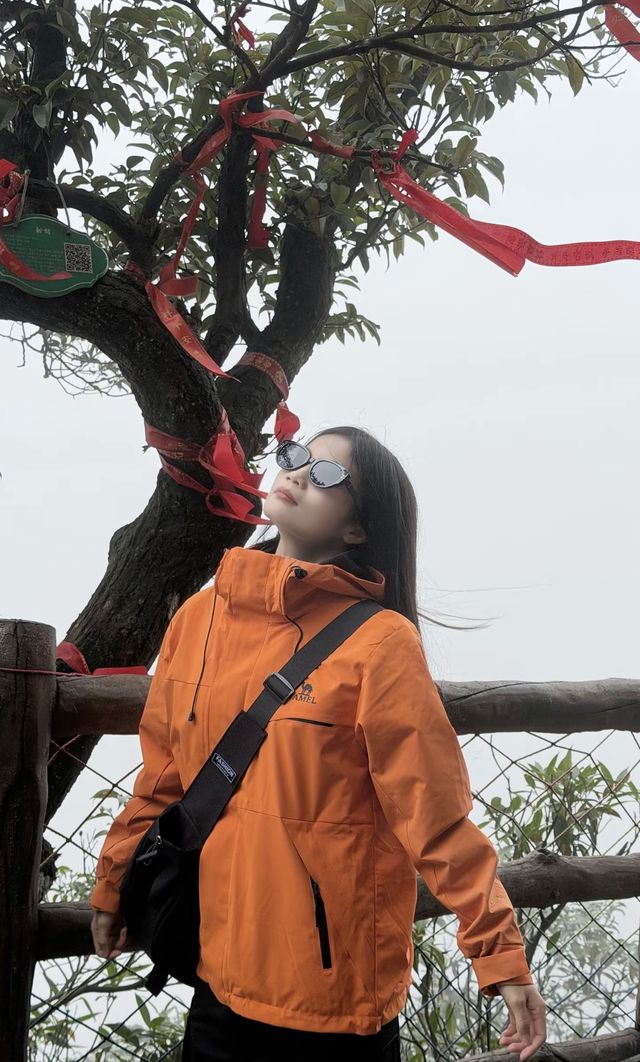 莽山住到不想走的雲隱智能民宿+電梯太香了