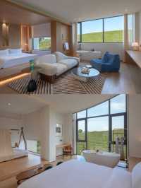 江浙滬2h!帶寵住茶山民宿超省心