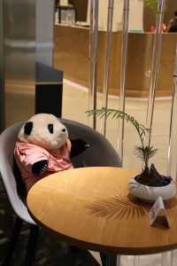 成都短途遊攻略:逛吃賞熊貓去囉