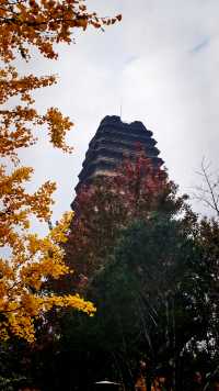 秋日去小雁塔感受歷史的厚重與自然和諧交融吧