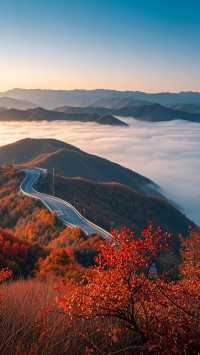 六盤山雲海打卡指南