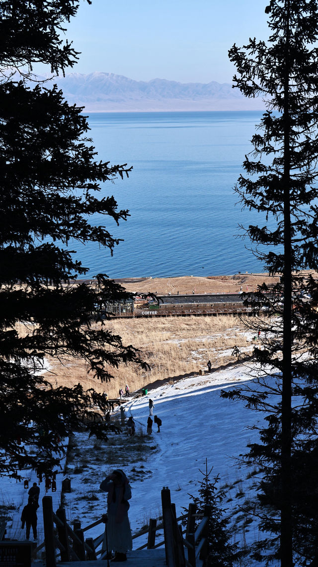 對於在成都忙碌的打工人來說，賽里木湖絕對是讓你暫時逃離都市喧囂、 recharge 能量的完美選擇。