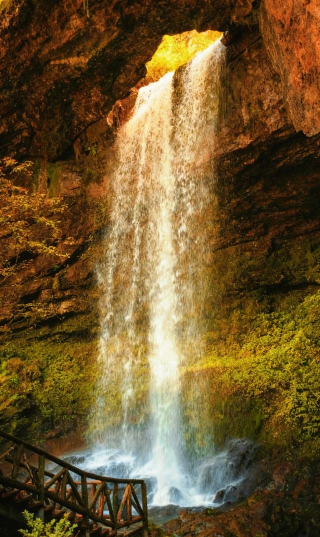 成都周邊2.5h，秋日童話限時返場！