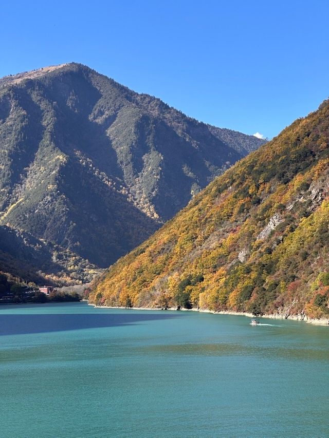 疊溪松坪溝紅葉盛宴