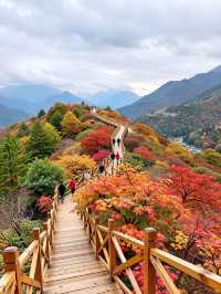 密雲小眾紅葉秘境人少景美還免費！