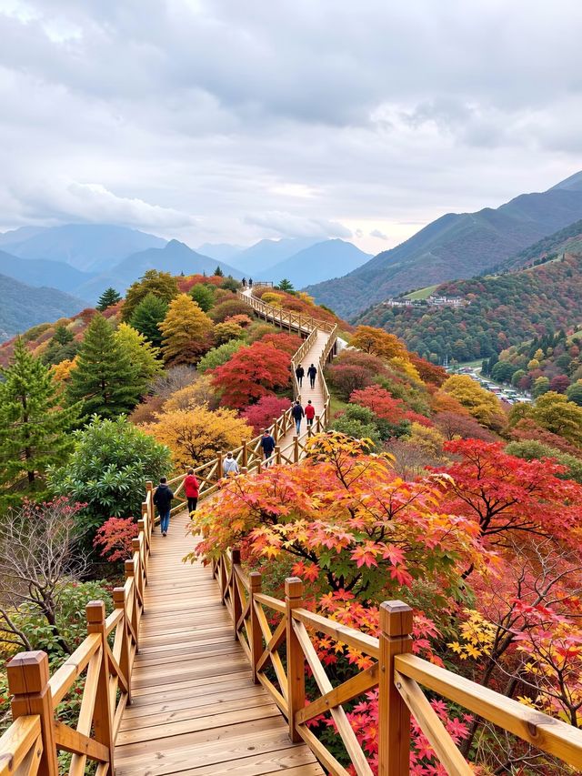 密雲小眾紅葉秘境人少景美還免費！