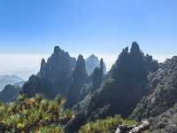 聽我的，不費腿看美景