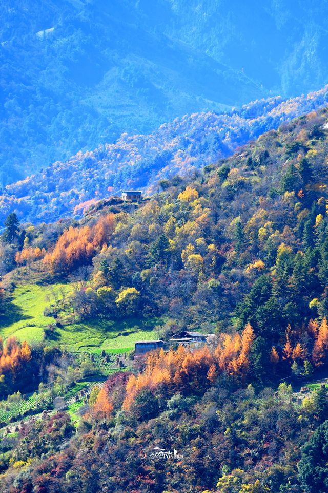 這裡的秋色不等人