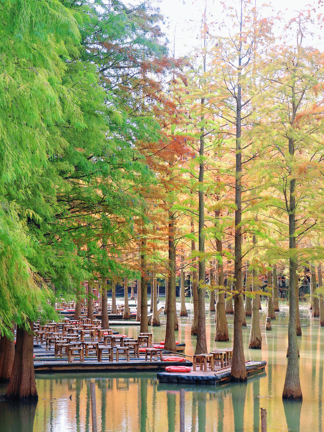 對不起,之前的宿遷洪澤湖攻略都過時了! 對不起,之前的宿遷洪澤湖攻略都過時了!