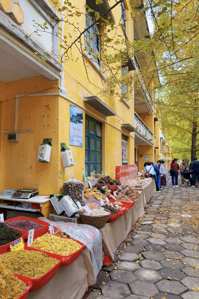 驅車4h來到韶關 就為了尋找秋天的顏色