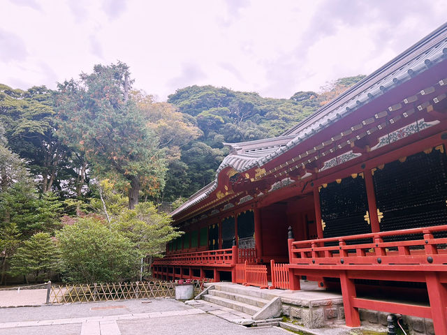 鶴岡八幡宮｜鎌倉最具代表性的神社散步路線 ⛩️🍁