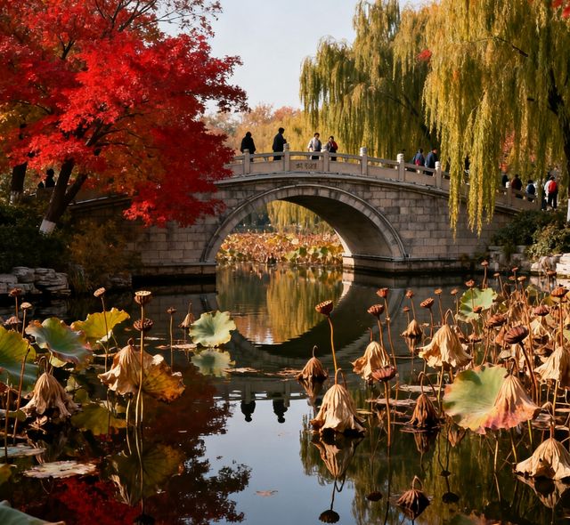 秋日的大明湖，是一封寫滿風情的邀請函。